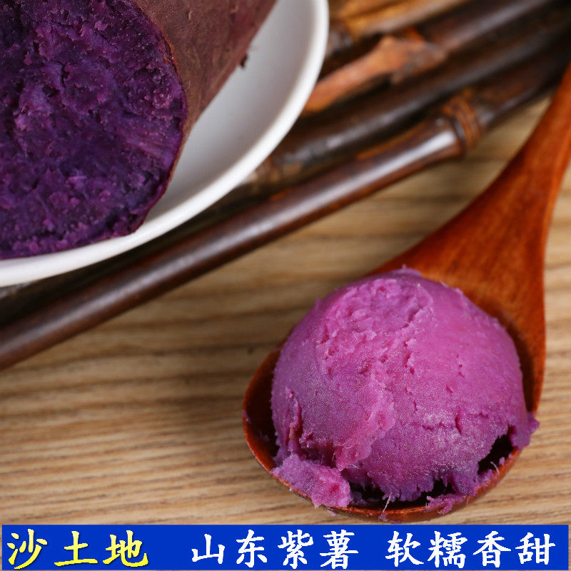 山东紫薯紫心薯糖心蜜薯10新鲜红薯 薯根香番薯