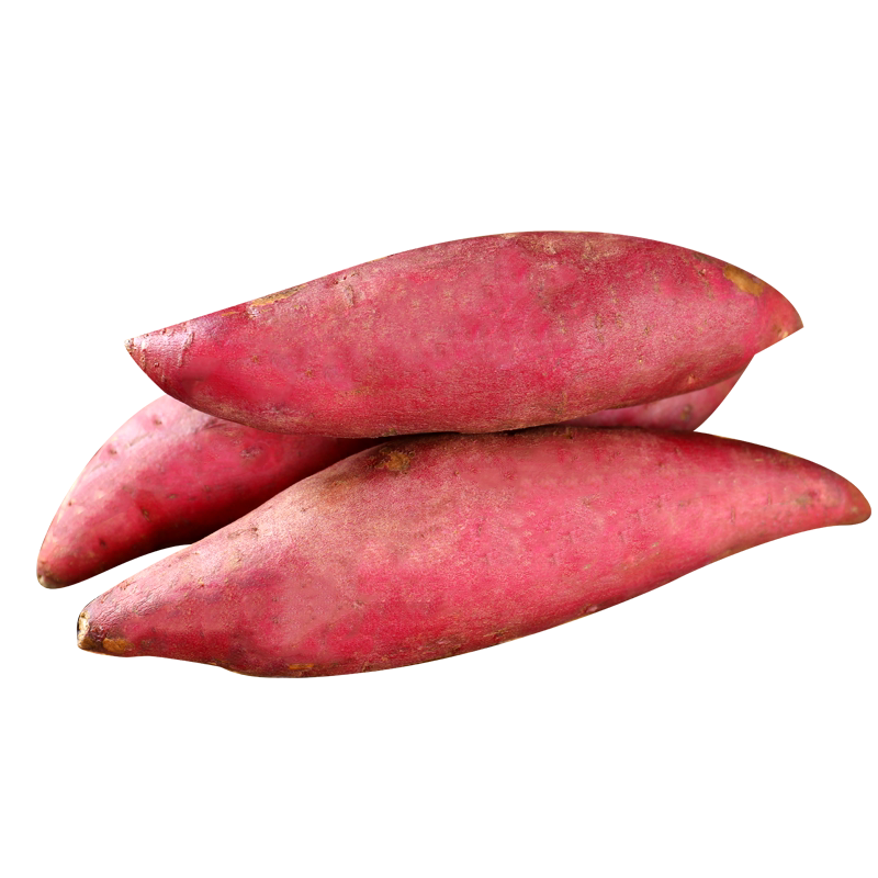 山东新鲜农家蜜薯糖心食用板栗红薯 薯根香番薯