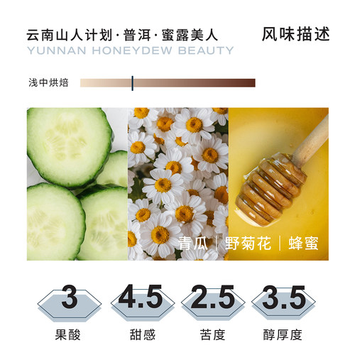 Torch炬点咖啡山人计划云南普洱·蜜露美人 蜜处理精品咖啡豆 - 图1