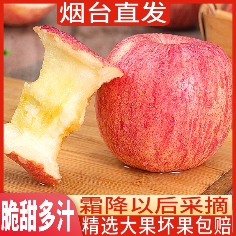 冰糖心苹果新鲜水果 当季整箱烟台苹果栖霞红富士苹果水果礼盒装