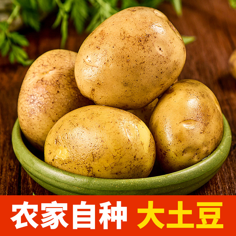 恩施富硒大土豆10斤新鲜包邮黄心士豆湖北马铃薯批发蔬菜高山洋芋 - 图1