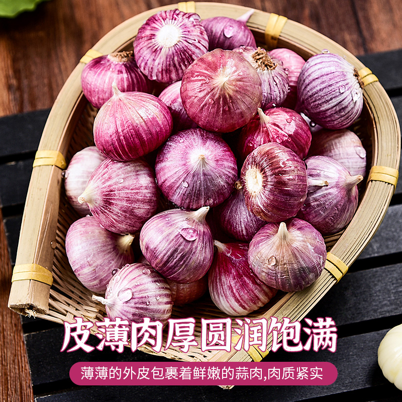 独头蒜紫皮云南大理独蒜湿蒜今年大蒜头新蒜新鲜特级蒜头干大蒜