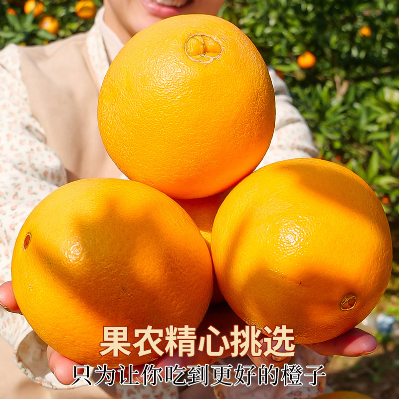 湖北秭归伦晚春橙10斤应季新鲜时令水果冰糖果冻甜橙脐橙整箱包邮