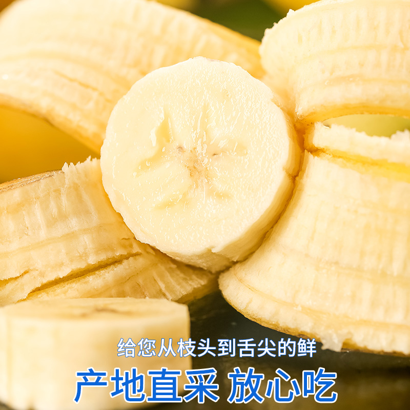 云南高山香蕉新鲜水果当季自然熟10大芭蕉小米蕉甜香蕉整箱批发