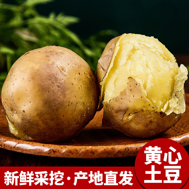 恩施富硒大土豆10斤新鲜包邮黄心士豆湖北马铃薯批发蔬菜高山洋芋 - 图2