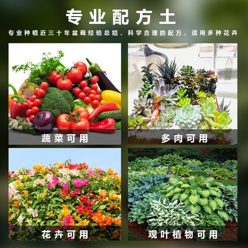 君子兰专用土花卉培养土家庭园艺种植酸性土壤不板结促进生根植料-图1