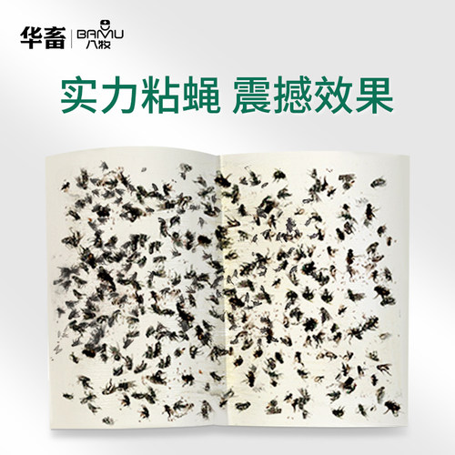 DB粘蝇纸苍蝇贴灭蝇诱苍蝇捕捉神器强力驱赶粘蚊虫板粘苍蝇纸板 - 图0