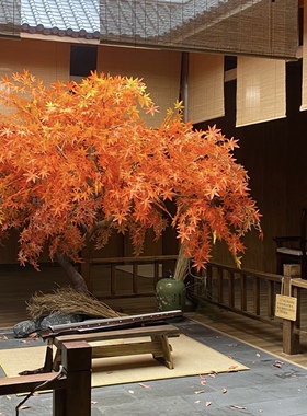秋日庭院日式氛围许愿树造景布置