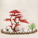 Welcome red maple tree landscaping plants simulated maple leaf tree Welcome red maple tree landscaping plants simulated maple leaf tree