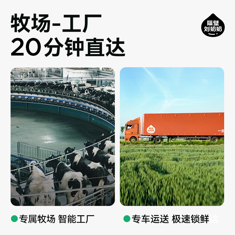 【双11预售加购】隔壁刘奶奶A2纯牛奶125ml*9盒*4箱儿童牛奶早餐