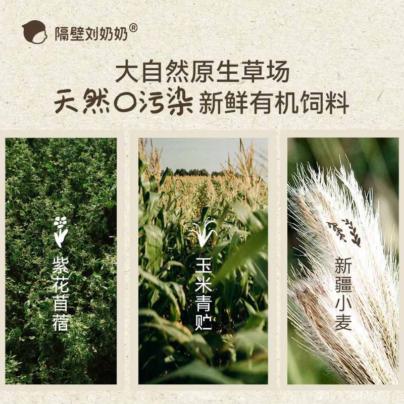 隔壁刘奶奶新疆天山有机纯牛奶3.6g蛋白180mL*10盒儿童营养早餐奶