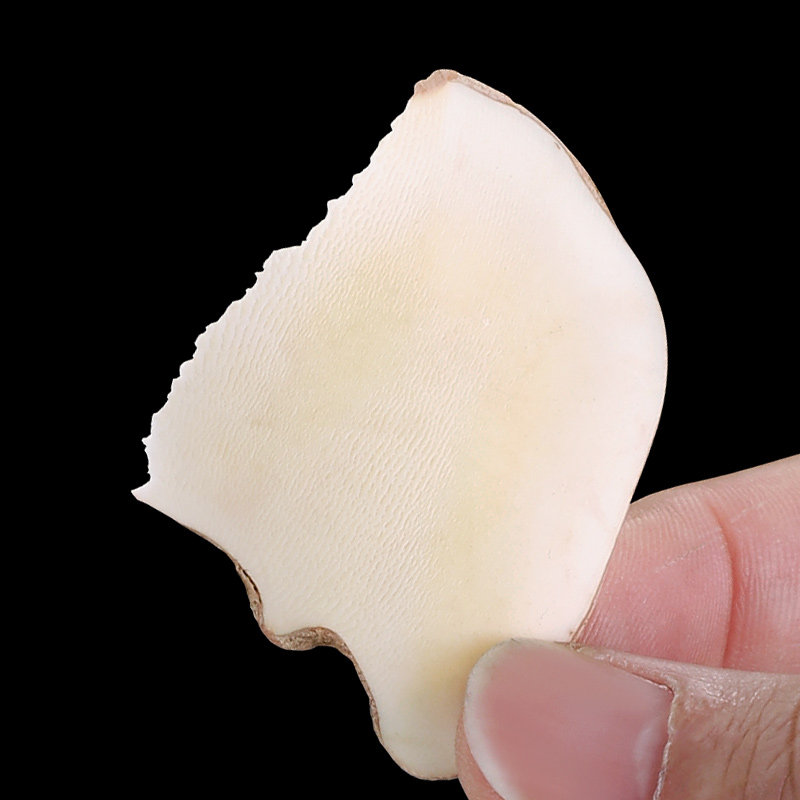 海底椰雪梨膏原材料500g煲汤料新鲜非雪梨干茅根竹蔗马蹄水材料包 - 图0