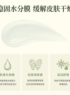 skinfood思亲肤莴苣黄瓜沁润面霜60ml补水保湿清爽