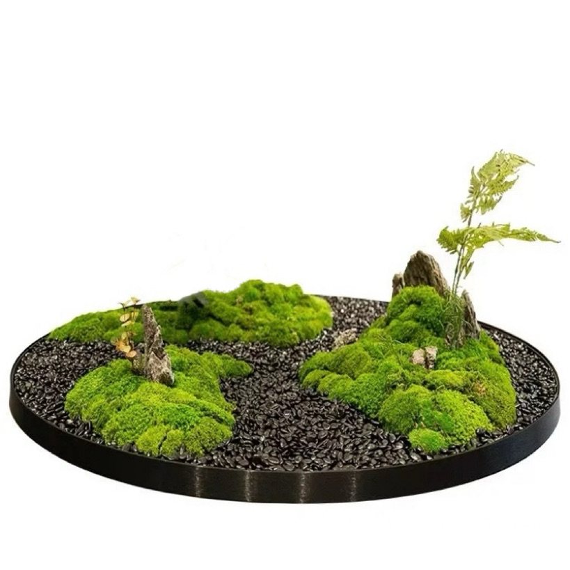 餐桌中间摆花电动转盘摆花装饰品圆桌桌花摆件永生苔藓景观造景,淘宝优惠券,粉丝福利购,淘宝优惠卷