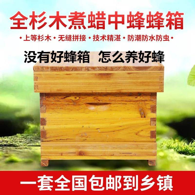 F中意养蜂蜂工具浸蜡蜂密蜜蜂煮标准d全套蜂箱平专用杉木箱新款