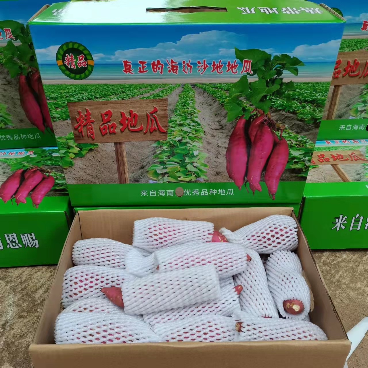 海南白心三角宁新鲜富硒农家地瓜 鲜尚舞番薯