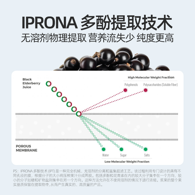 美国ZUBR儿童接骨木莓复合维生素C小黑果D3VC补锌免疫力抵抗力 - 图2