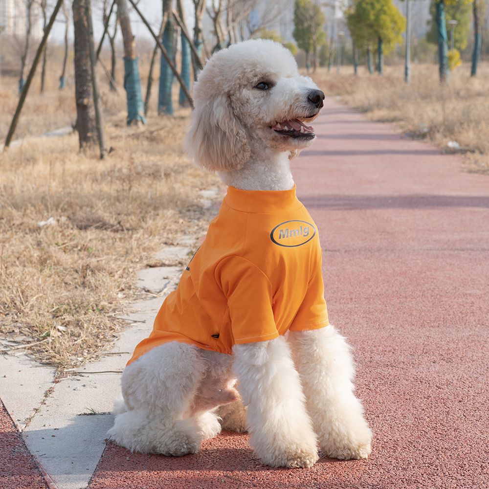 潮牌大型犬衣服夏季薄拉布拉多金毛萨摩耶巨贵防掉毛宠物大狗衣服 - 图0