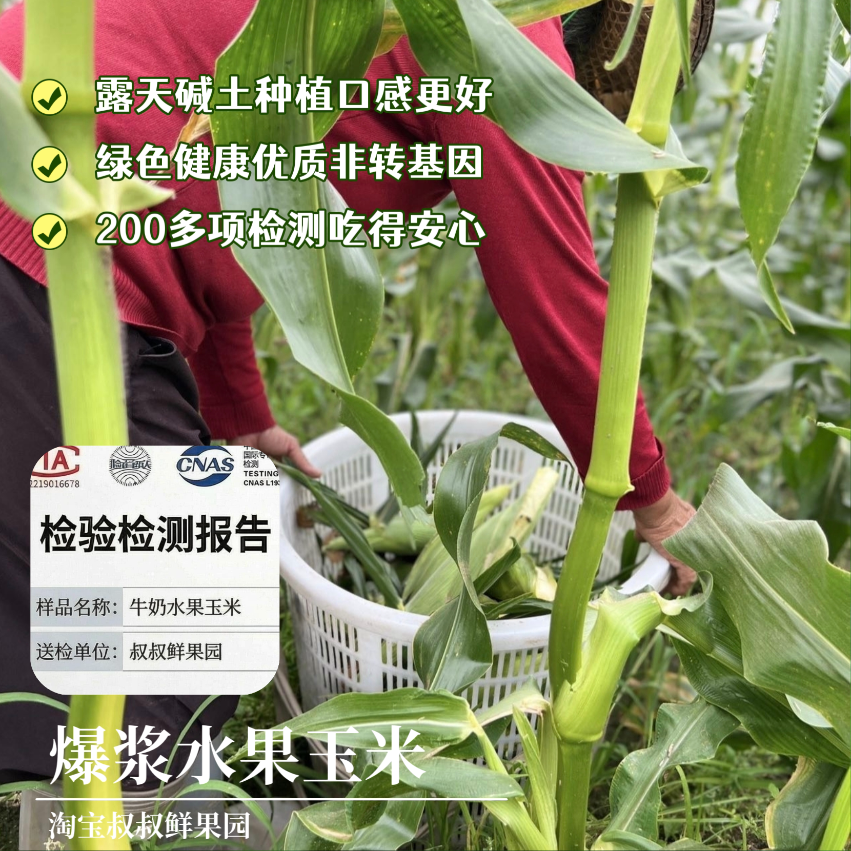 图5