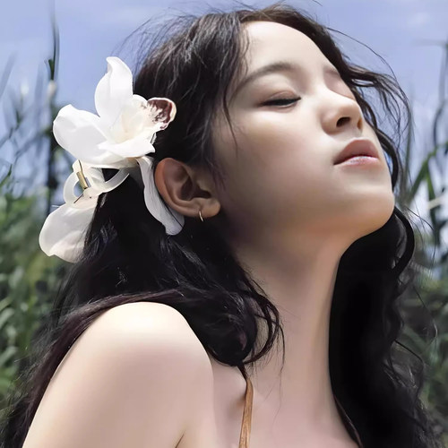 last kiss 欧阳娜娜同款蝴蝶兰花朵抓夹海边度假风氛围感头花发夹 - 图3