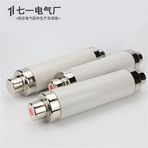 高压限流熔断器XRNT10-12KV10A20A40A50A63安80A100A箱变保险管丝 - 图0