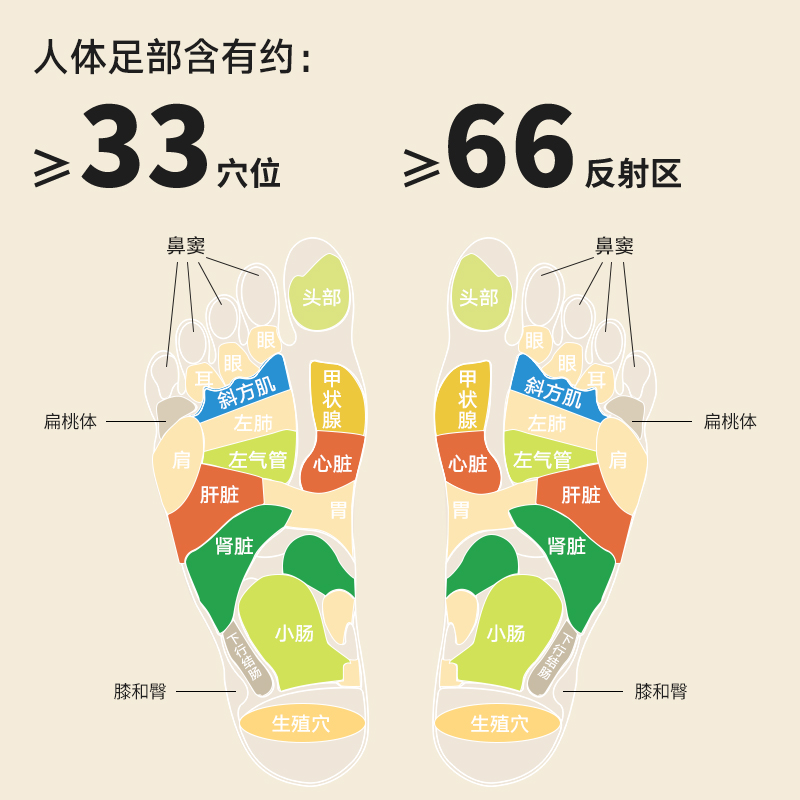 万邦汉方泡脚药包正品艾草叶生姜中药12味草本足浴包泡澡男女专用 - 图2