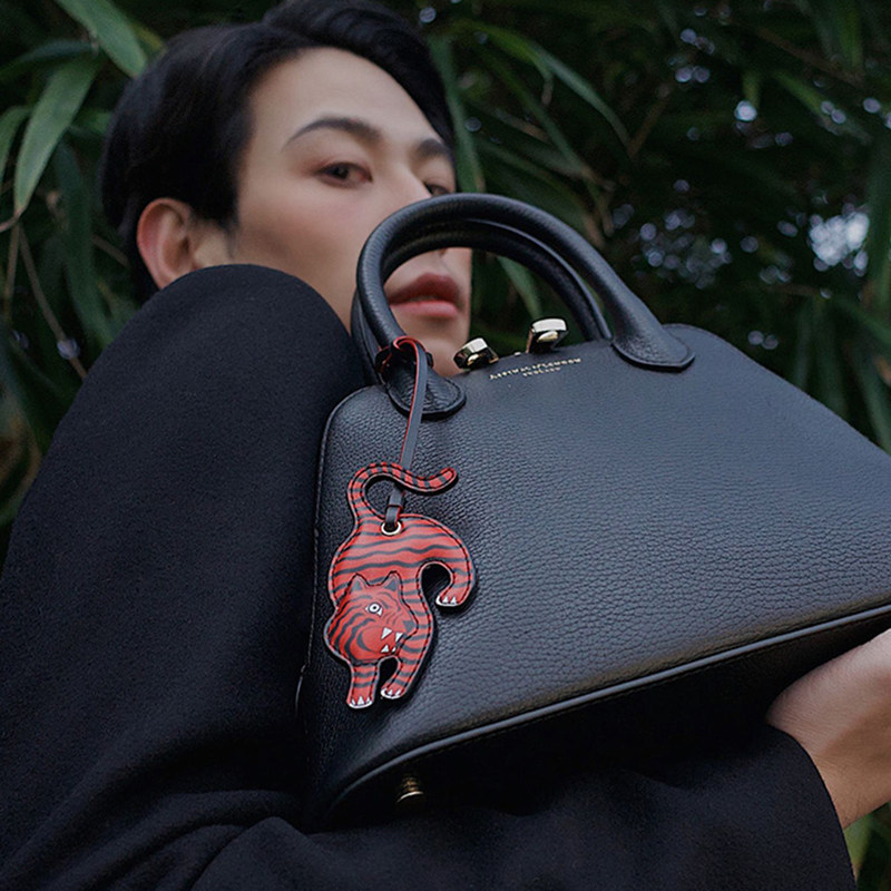 aspinal margot牛皮手提斜挎包包 AspinalofLondon海外女士包袋