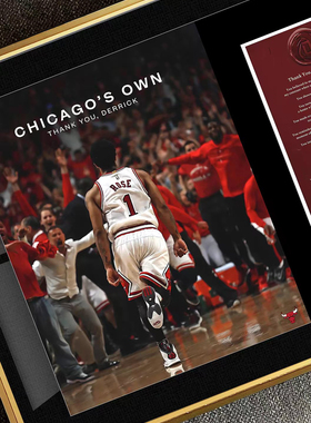 Derrick Rose德里克罗斯风城玫瑰公牛队NBA装饰画