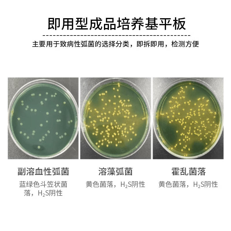 水产弧菌检测试剂盒弧菌培养皿培养基Tcbs营养琼脂平板微生物面板-图2