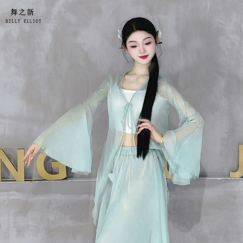 古典舞纱衣仙气表演成人秋冬中国舞演出服飘逸2025新款舞蹈练功服 - 图2