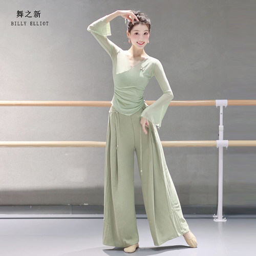 古典舞纱衣演出服飘逸形体中国舞练功服成人2025新款舞蹈上衣女款 - 图1