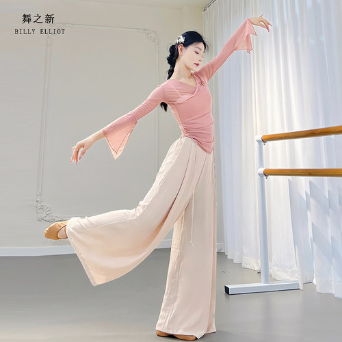 古典舞纱衣演出服飘逸形体中国舞练功服成人2025新款舞蹈上衣女款 - 图3