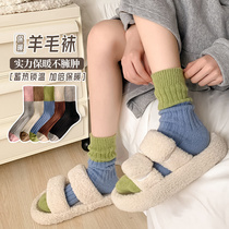 Wool Socks Female Autumn Winter 2022 New Middle Cylinder Socks Thickened Warm Ins Trendy Collage Pine Stockings Stockings