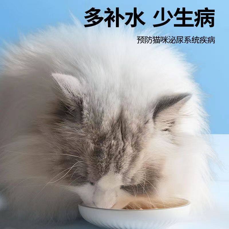 猫大力鱼油鸡丝拌饭汤包补水呵护猫咪泌尿营养增强猫粮美毛护肤,淘宝优惠券,粉丝福利购,淘宝优惠卷