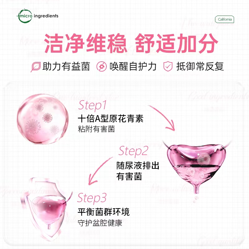 美国microingredients蔓越莓冻干粉 Microingredients海外蔓越莓
