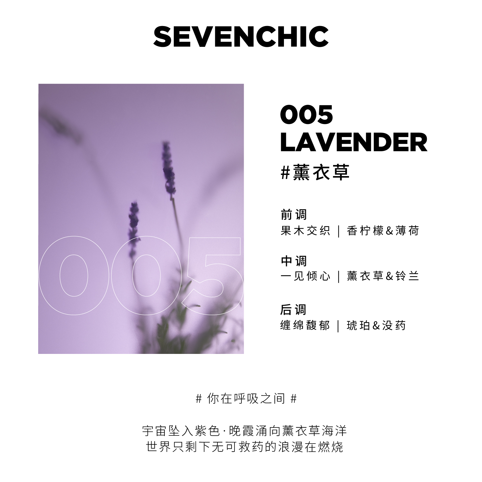 【戚薇同款】SEVENCHIC云朵香挂礼盒香薰车载家居生活礼物 - 图2