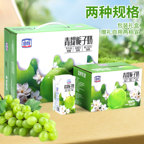 忠厚青提栀子牛奶整箱200ml盒装儿童牛奶官方旗舰店正品早餐奶 - 图3