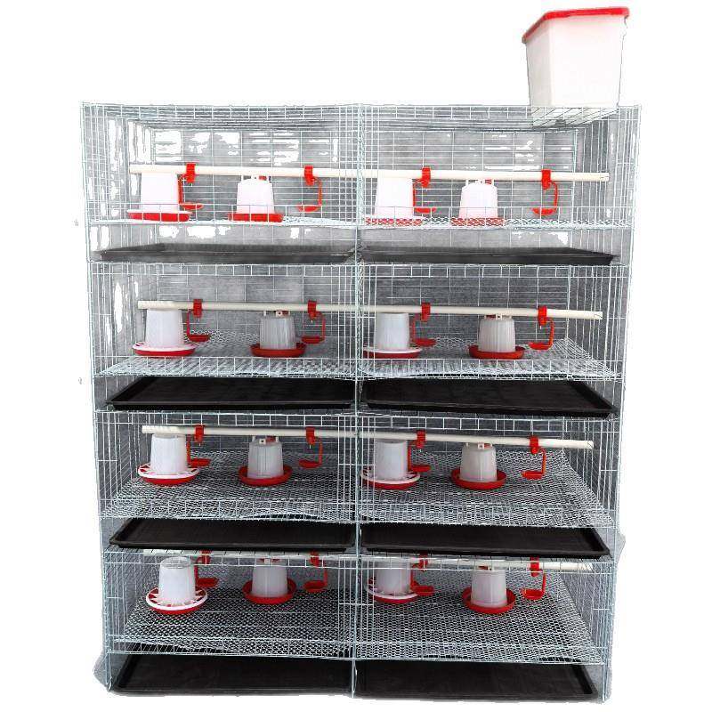 四层两门小鸡笼育雏笼加粗加密镀锌防锈笼网育雏笼,淘宝优惠券,粉丝福利购,淘宝优惠卷