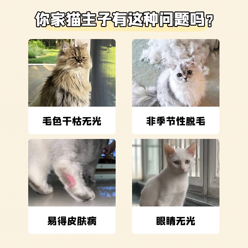 MAG宠物猫咪鱼油狗狗美毛护肤深海鱼肝油狗猫专用防掉毛卵磷脂,淘宝优惠券,粉丝福利购,淘宝优惠卷