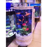 Стеклянный аквариум, легкий роскошный стиль, подходит для подростков, европейский стиль