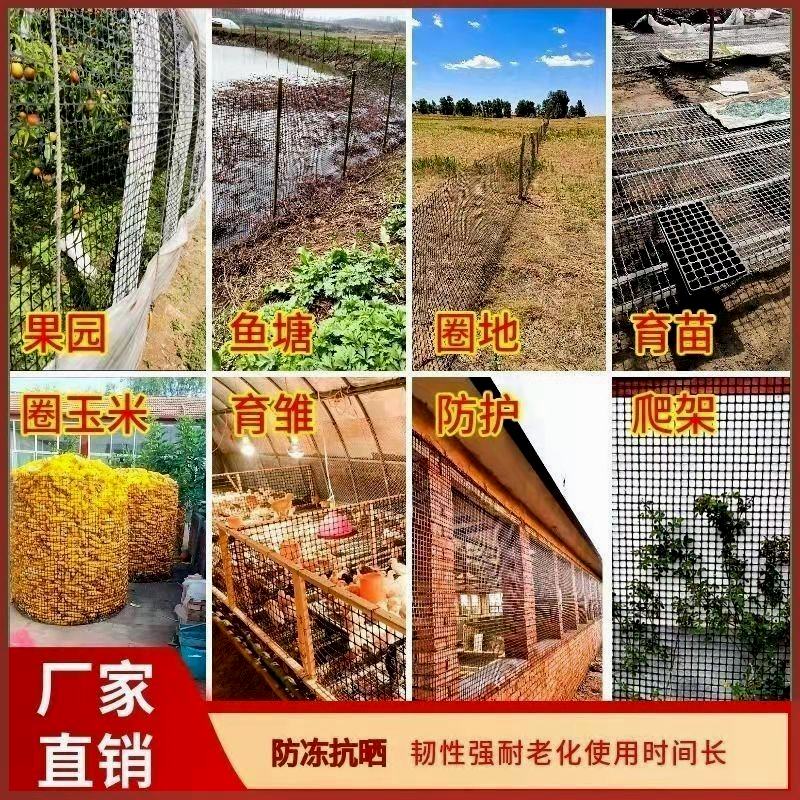 养鸡鸭塑料围栏网养殖网果园菜园圈地鱼塘防护网格网玉米网栅栏网 - 图2