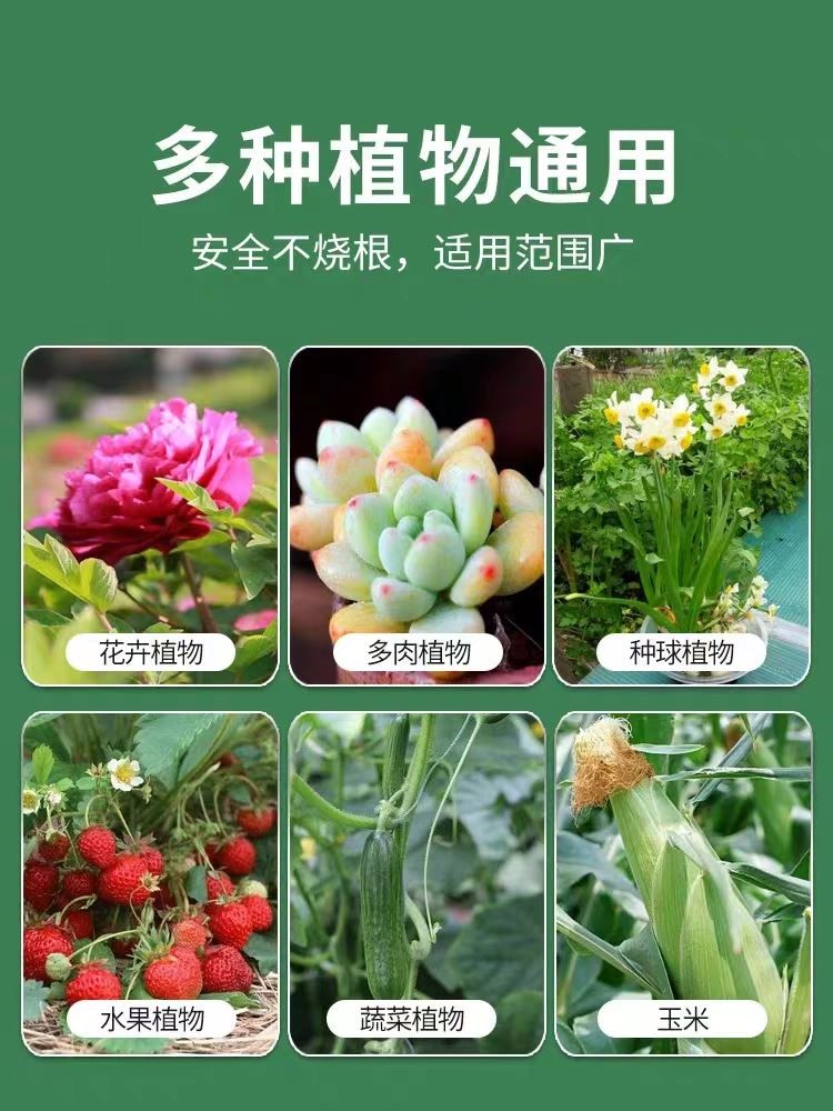 9.9元3瓶植物生长活力素养花用的浓缩通用型营养液花卉肥料水溶性 - 图1