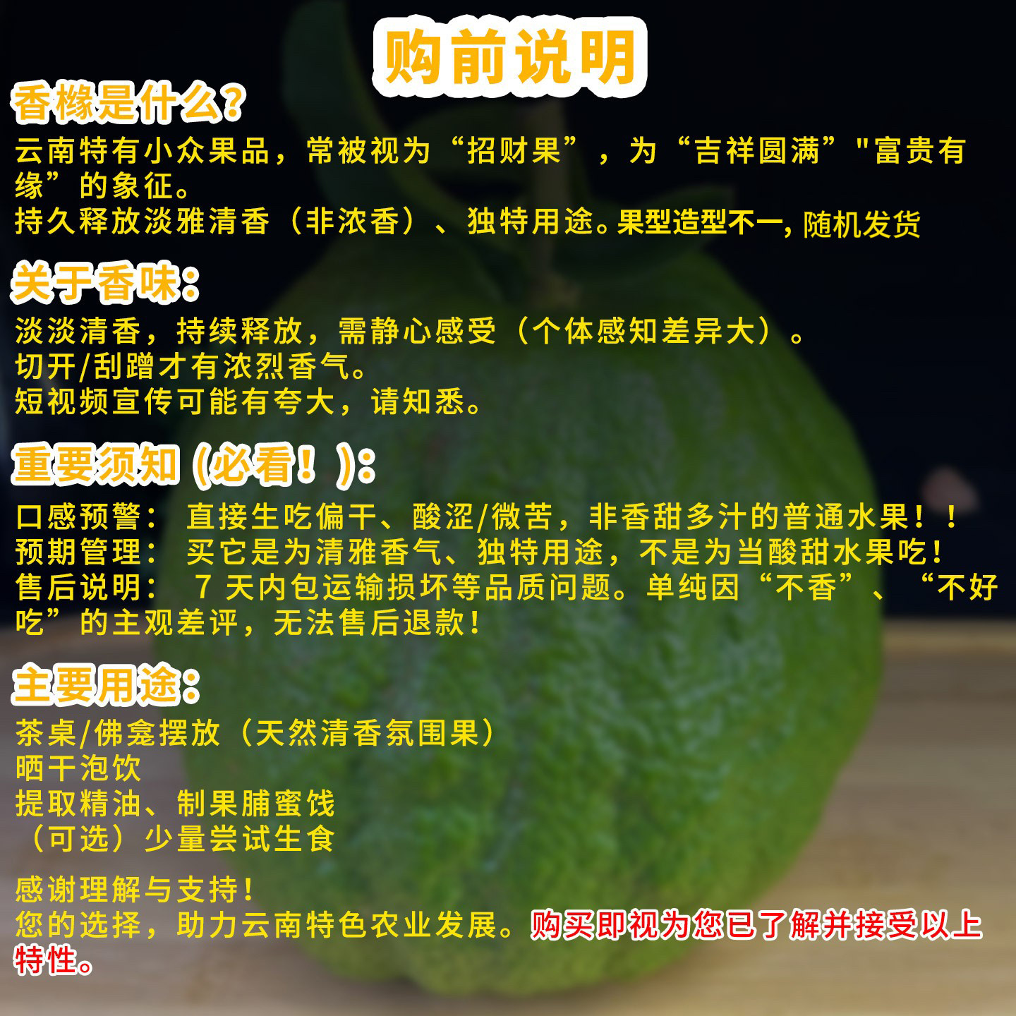 香橼云南鲜果新鲜高山香橼特大果室内摆件清供观赏闻香香薰中药材,淘宝优惠券,粉丝福利购,淘宝优惠卷