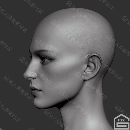 zbrush写实美女头部肖像脸部3D模型zb皮肤五官雕刻雕塑模型可打印 - 图2