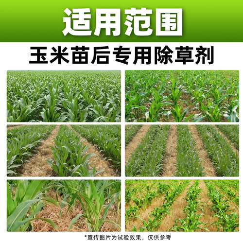 玉米苗后专用除草剂30%苯唑草酮特丁津咽烟嘧黄磺隆正品东远状元 - 图2