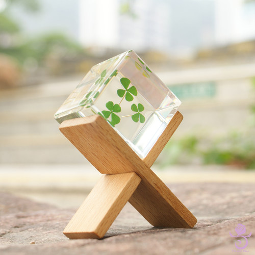 玫瑰四叶草标本康乃馨菊花植物树脂盲盒摆件立方体永生花镇纸礼物 - 图2