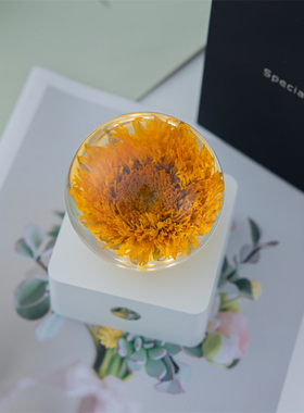 向日葵康乃馨鲜花水晶球送男女