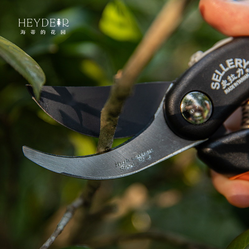 海蒂的花园旗舰店史拉力园艺枝剪花木剪月季绣球植物修枝工具剪刀,淘宝优惠券,粉丝福利购,淘宝优惠卷
