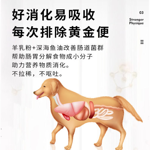 冻干狗粮成犬幼犬小型犬通用型泰迪博美比熊土狗柯基5斤10斤装 - 图2