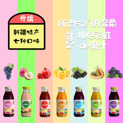 新疆升旗果汁饮料小白杏汁哈密瓜汁52%含量 七种口味15瓶整箱可拼 - 图0